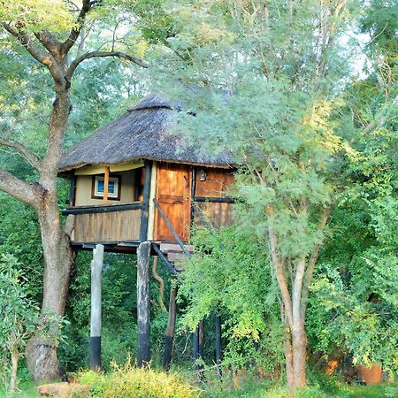 Ivory Lodge Dete Экстерьер фото