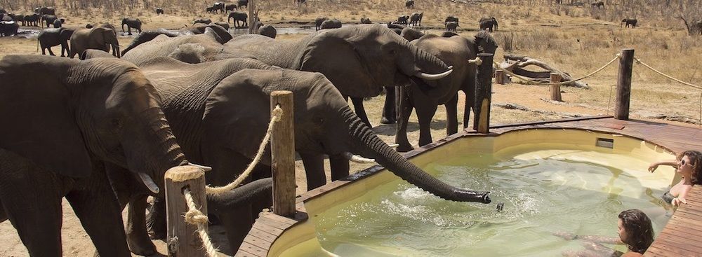 Ivory Lodge Dete Экстерьер фото