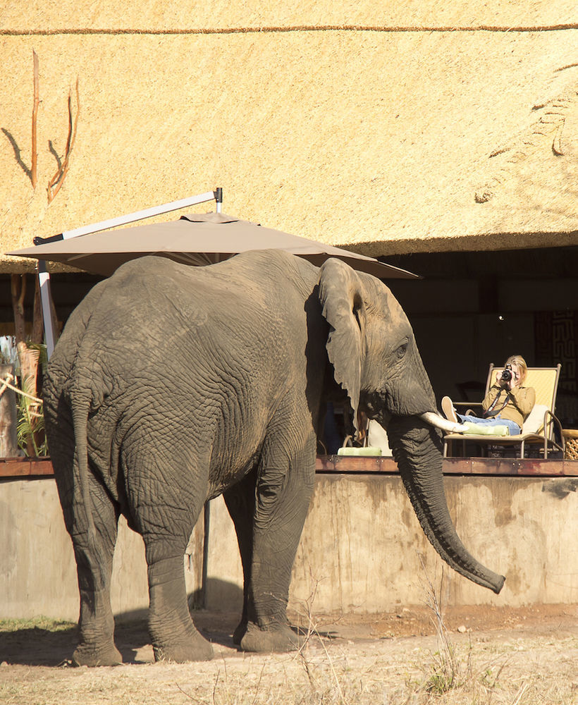 Ivory Lodge Dete Экстерьер фото