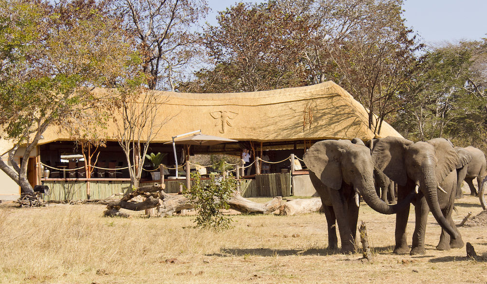 Ivory Lodge Dete Экстерьер фото