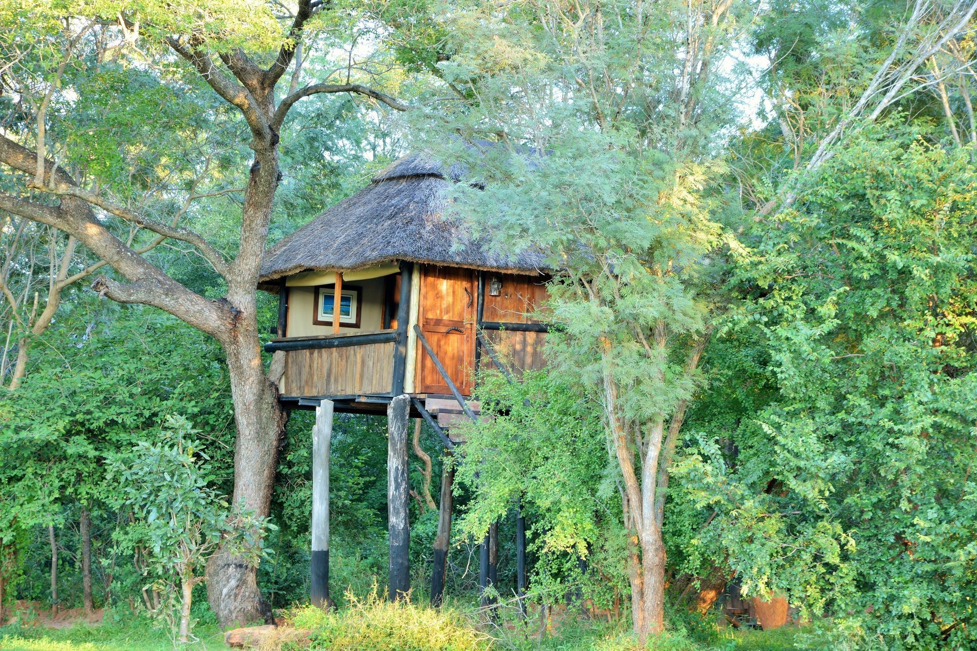 Ivory Lodge Dete Экстерьер фото